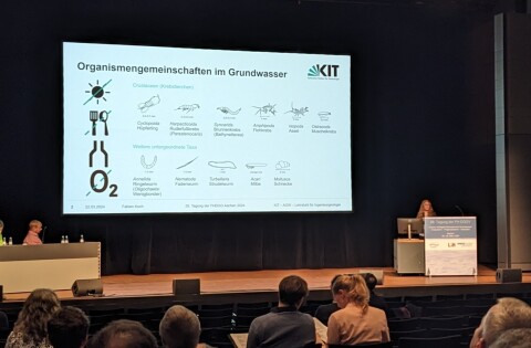 Vortrag Fabien Koch Vortrag Fabien Koch