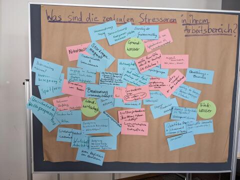 shared image (1).jpg