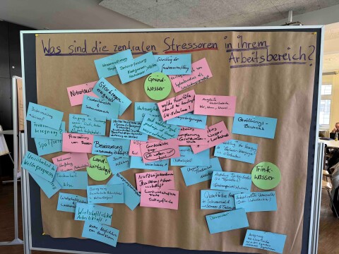 Bild 2 StressRes Bild 2 StressRes