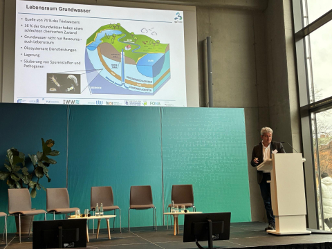 IMG_76BFD4E2660D-1 IMG_76BFD4E2660D-1