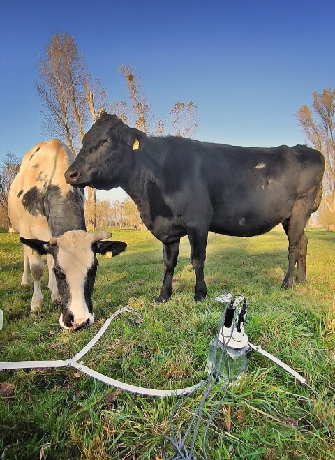 Foto_E-Newsletter_highres - Copy Foto_E-Newsletter_highres - Copy