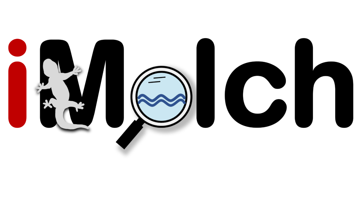 iMolch_Logo.png