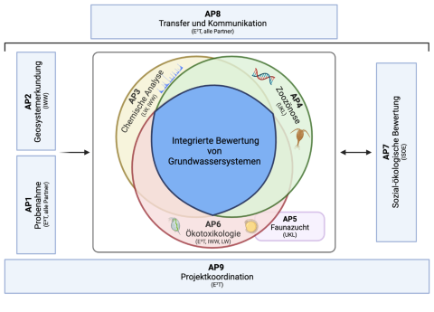 Übersicht der Projektstruktur. Quelle: gwTriade Übersicht der Projektstruktur. Quelle: gwTriade