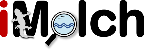 iMolch_Logo