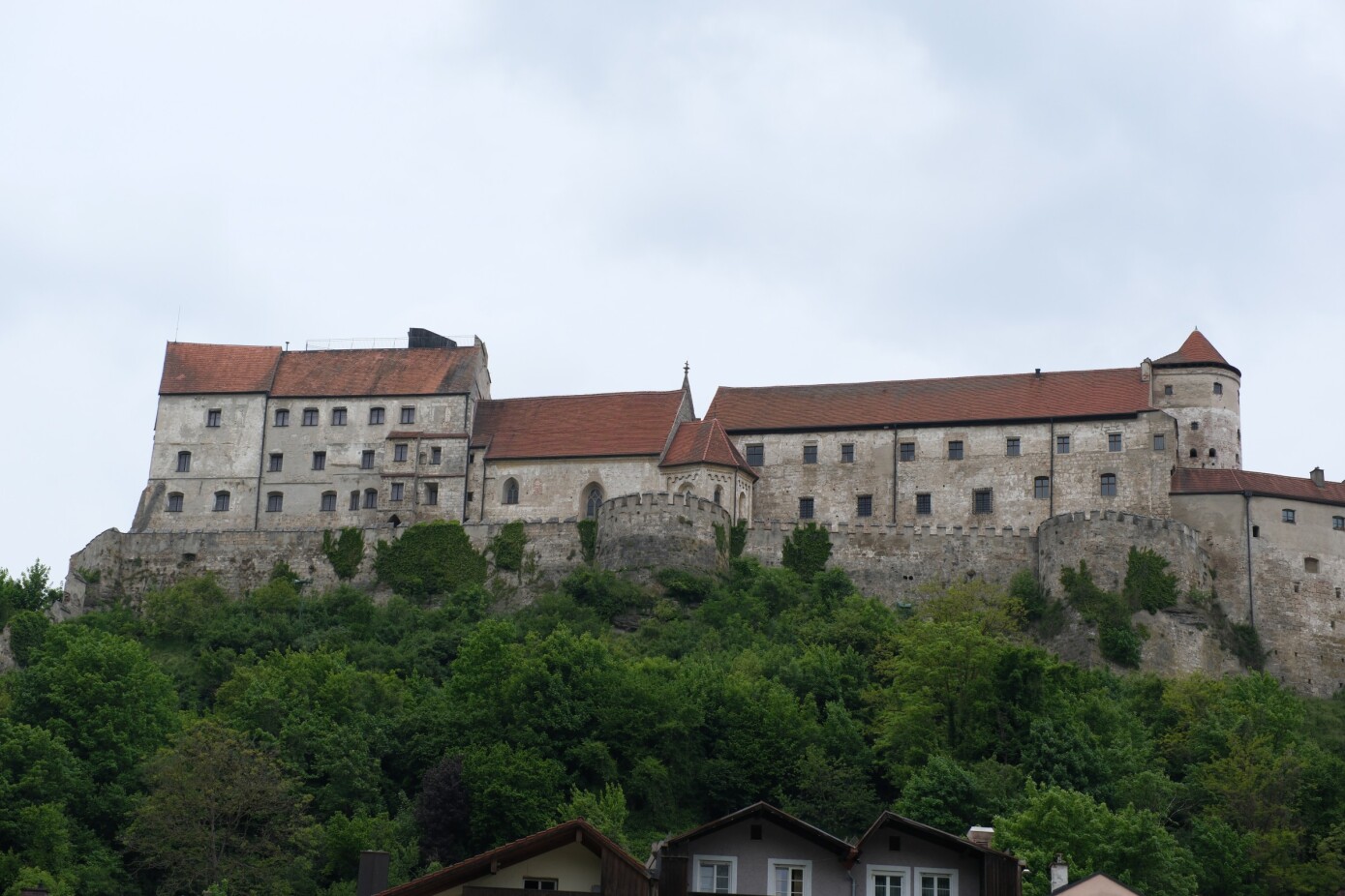 DSCF7590.jpg