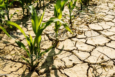 © iStock / 510386918 © iStock / 510386918